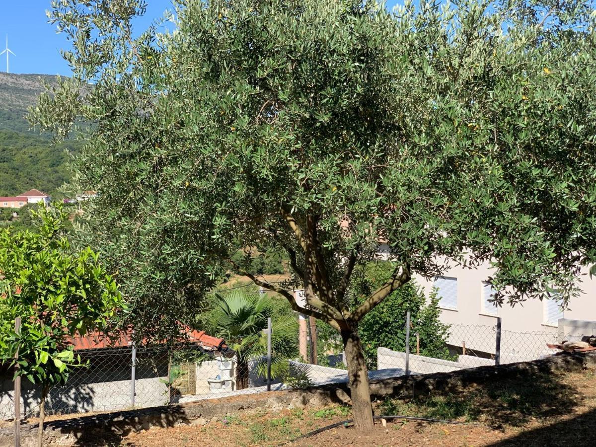 Holiday Home Bratica Ulcinj Eksteriør billede
